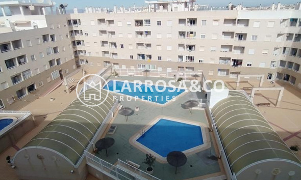 Apartment - Resale - Torrevieja - CASCO URBANO