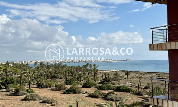 Apartment - Resale - Torrevieja - Costa Blanca