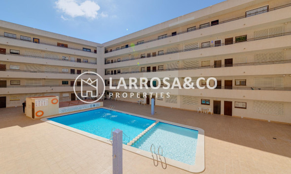 Apartment - Resale - Torrevieja - Estacion de autobuses