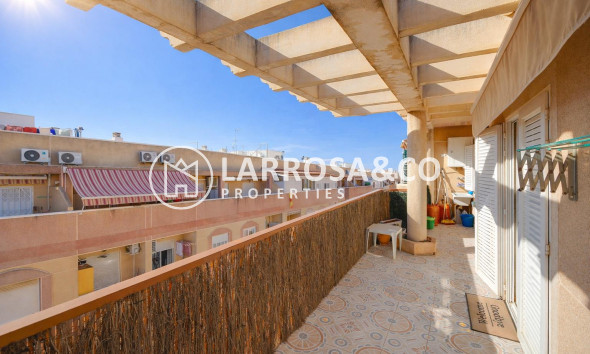 Apartment - Resale - Torrevieja - Parque de las Naciones