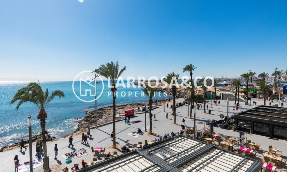 Apartment - Resale - Torrevieja - Paseo maritimo
