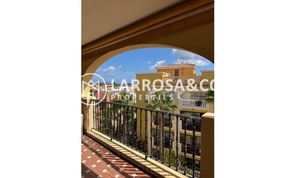 Atico - Reventa - Torrevieja - Los Frutales