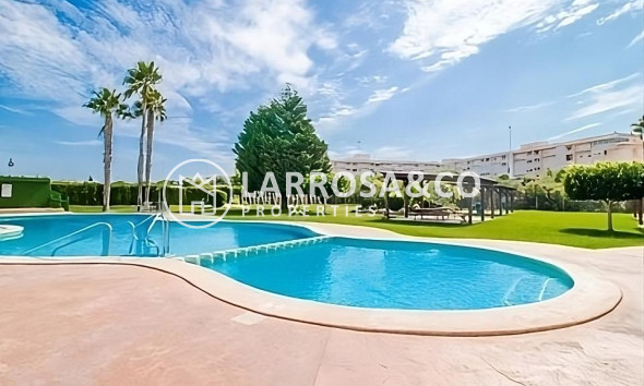 Bungalow - A Vendre - Torrevieja - ASV-75065