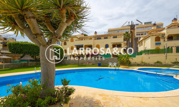 Bungalow - Herverkoop - Torrevieja - ASV-75336
