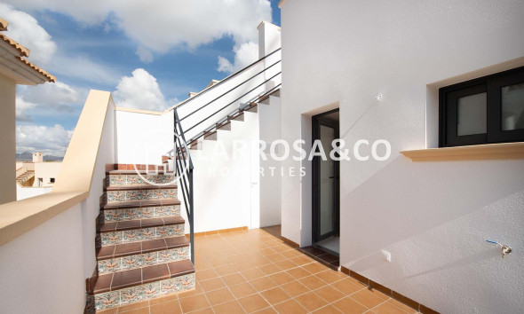 Bungalow - Obra Nueva - Cox - San Fernando