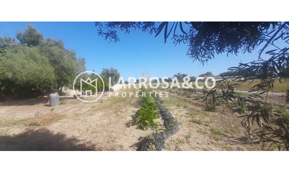 Casa de campo - Reventa - Dolores - Dolores