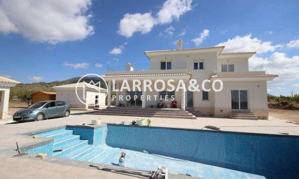 Chalet - Obra Nueva - Pinoso - Camino Del Prado