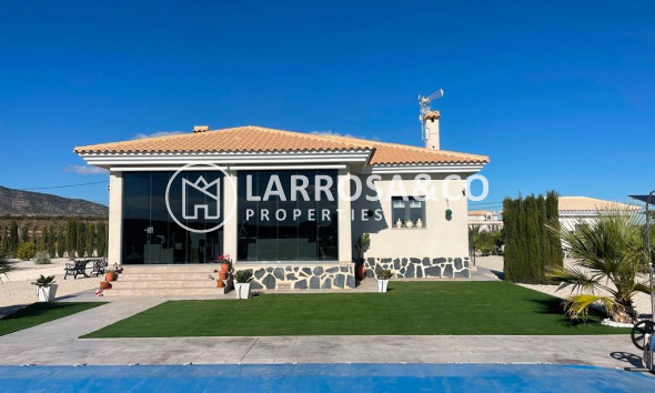 Chalet - Obra Nueva - Pinoso - ONR-23722