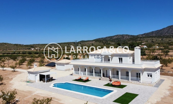 Chalet - Obra Nueva - Pinoso - ONR-33824