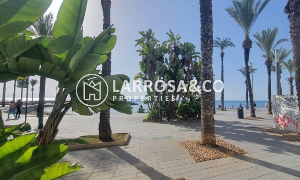 Commercial space - A Vendre - Torrevieja - Paseo maritimo