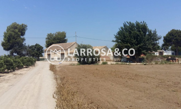 Country house - A Vendre - Daya Nueva - Costa Blanca