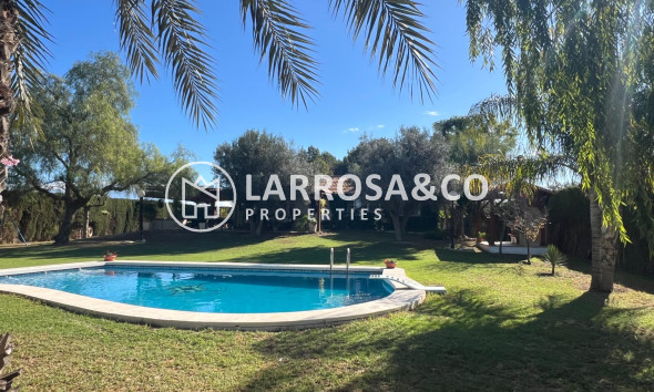 Country house - A Vendre - Dolores - Comunidad valenciana