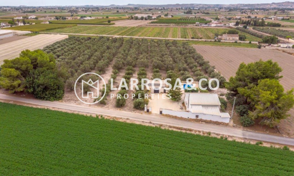 Country house - A Vendre - Dolores - Costa Blanca