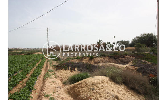 Country house - Resale - Guardamar del Segura - RV2379