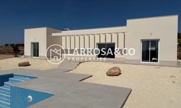 Detached House/Villa - New build - Pinoso - Camino Del Prado