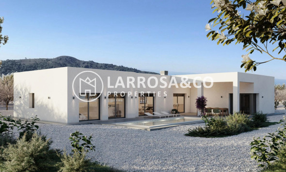 Detached House/Villa - New build - Pinoso - Campo