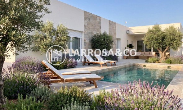 Detached House/Villa - New build - Pinoso - Casas Pastor