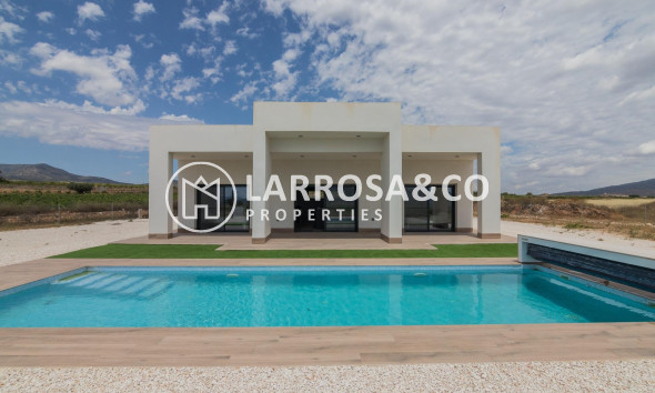 Detached House/Villa - New build - Pinoso - Lel