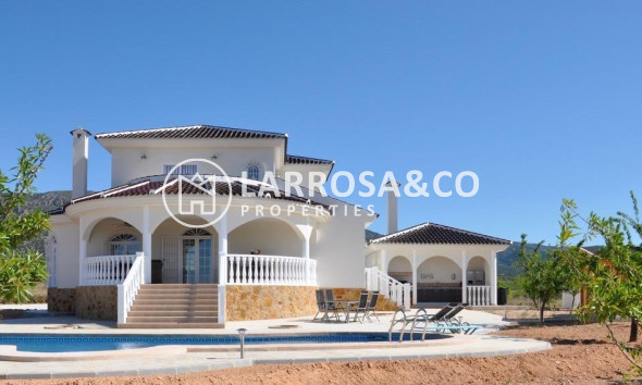 Detached House/Villa - New build - Pinoso - Lel