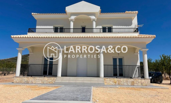 Detached House/Villa - New build - Pinoso - ONR-24921