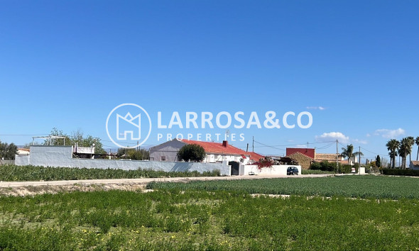 Detached House/Villa - Resale - Dolores - Comunidad valenciana