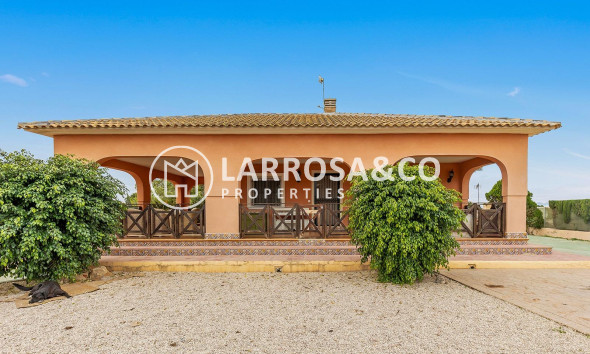 Detached House/Villa - Resale - Dolores - Vereda del pozo