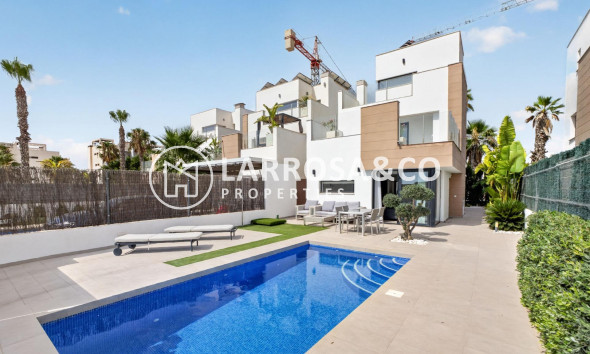 Detached House/Villa - Resale - Guardamar del Segura - El Raso