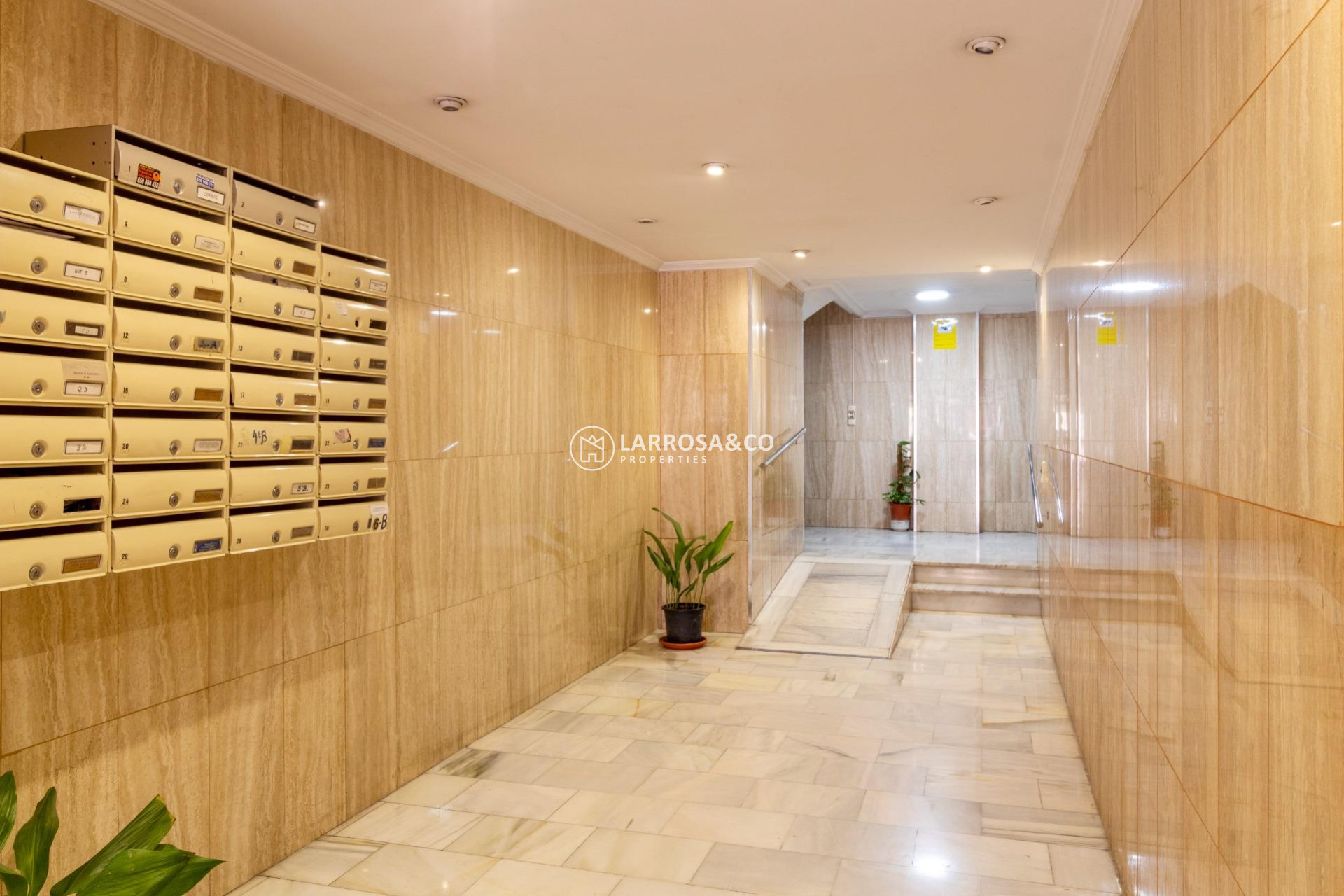 Долгосрочная аренда - Коммерческая площадь - Orihuela - Zona Centro