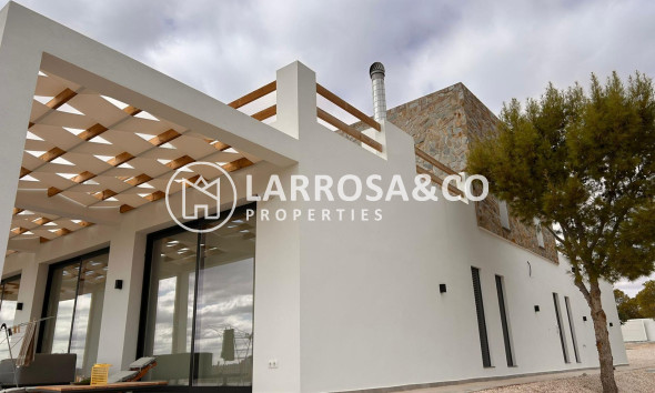 Дом - Новостройка - Pinoso - Casas Pastor