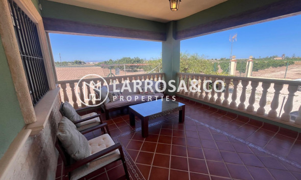 Finca - Resale - Daya Nueva - La Bodega