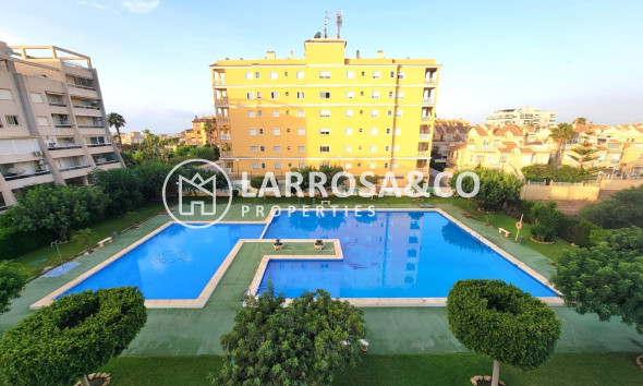 Ground floor apartment - Herverkoop - Torrevieja - ASV-45064