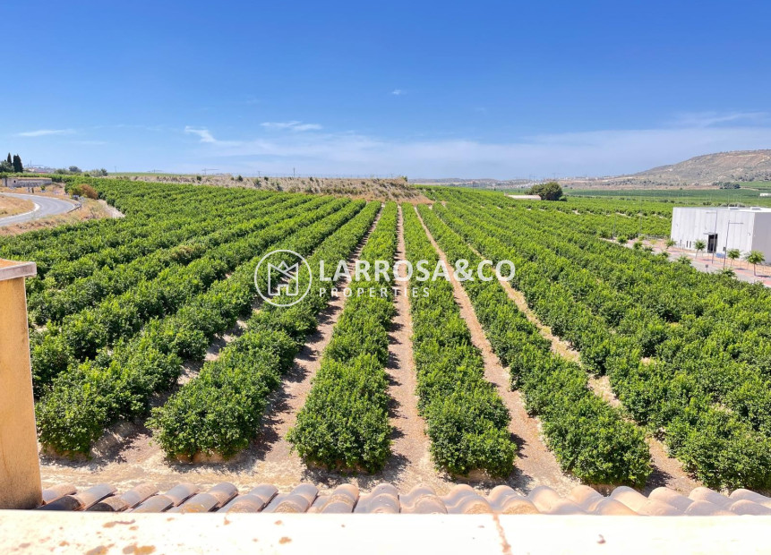 Herverkoop - Apartment - Algorfa - Inland