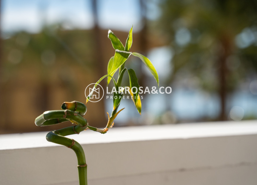 Herverkoop - Apartment - Alicante - Costa Blanca