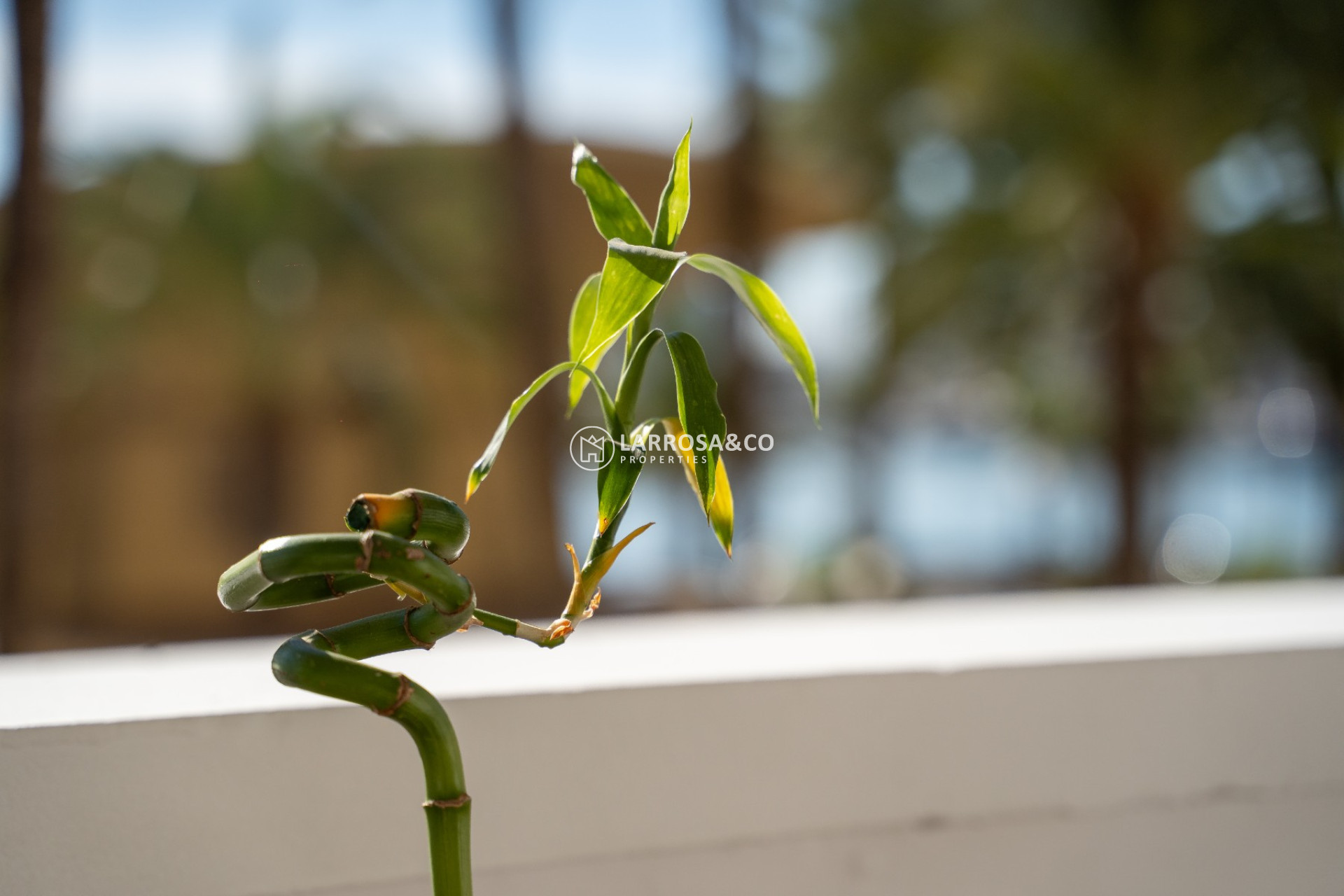 Herverkoop - Apartment - Alicante - Costa Blanca