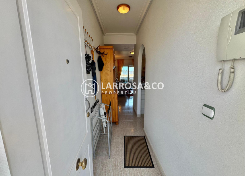 Herverkoop - Apartment - Almoradí