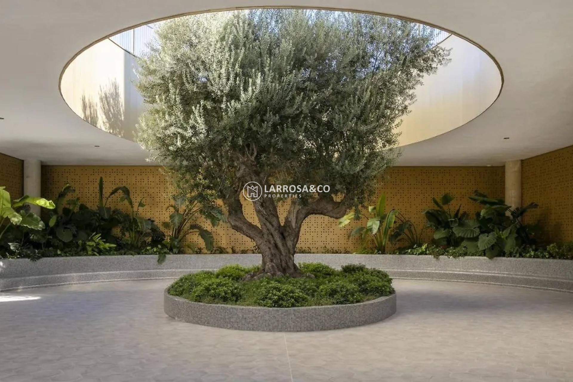 Herverkoop - Apartment - Benidorm - Costa Blanca