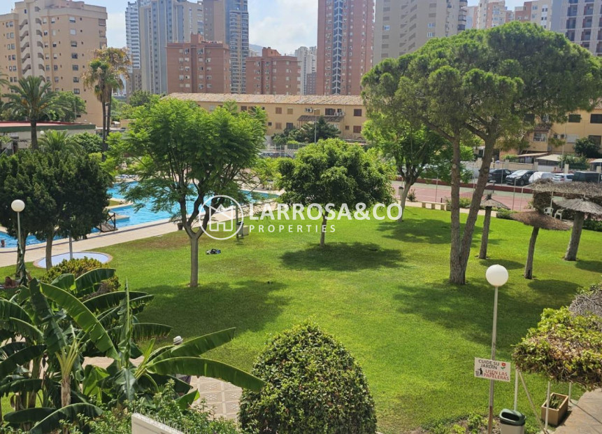 Herverkoop - Apartment - Benidorm