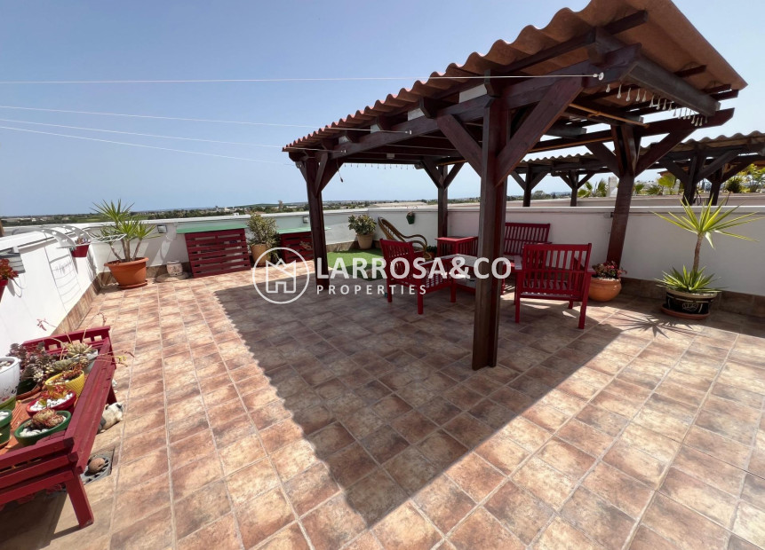 Herverkoop - Apartment - Dolores - Comunidad valenciana