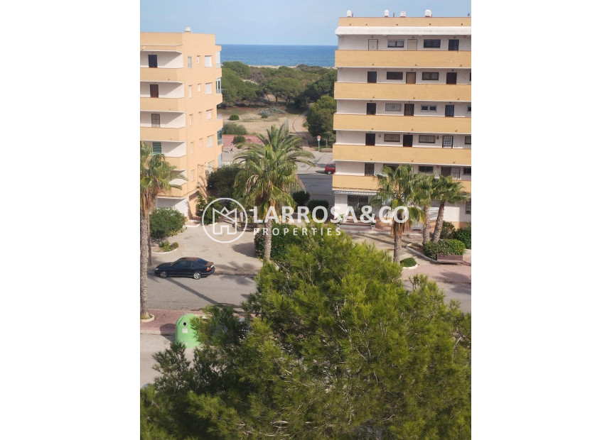 Herverkoop - Apartment - Guardamar del Segura - Pinomar