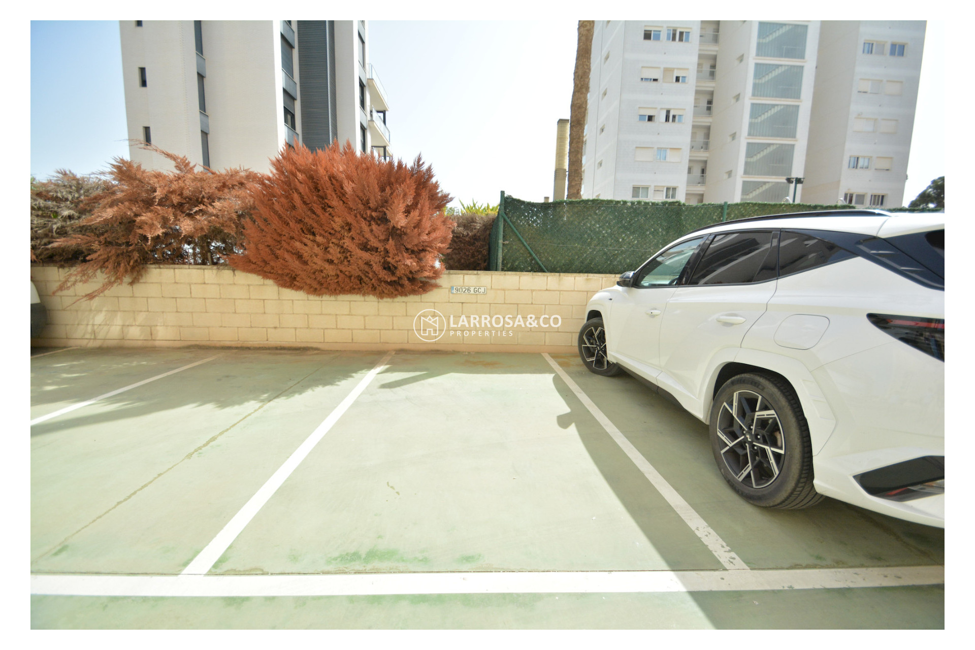 Herverkoop - Apartment - Guardamar del Segura - SUP 7