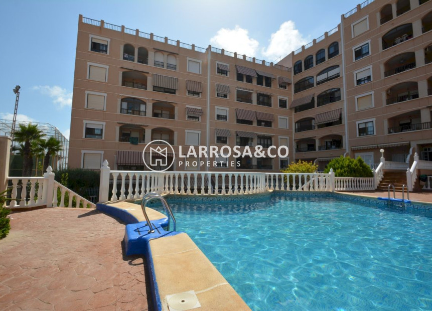 Herverkoop - Apartment - Guardamar del Segura