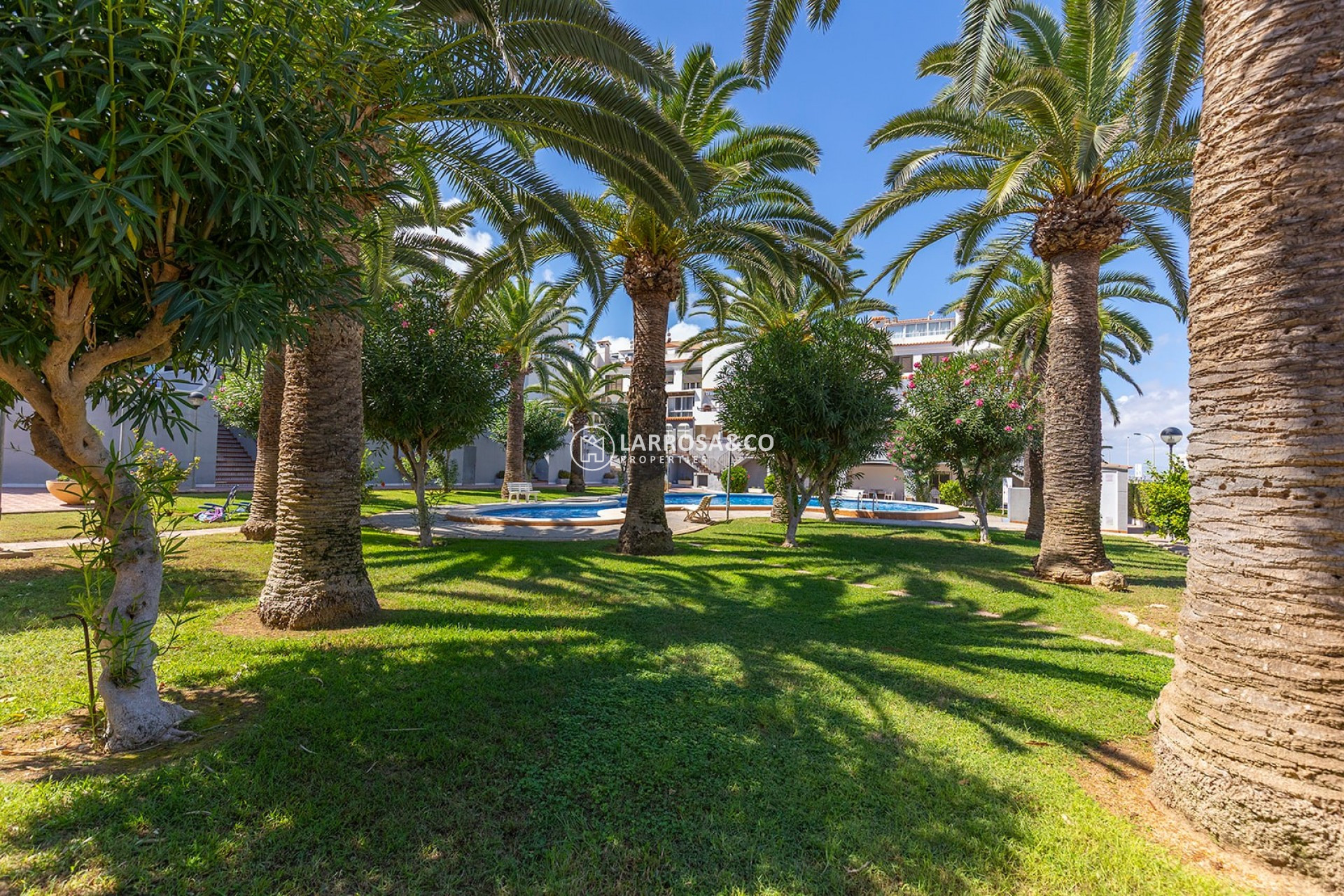 Herverkoop - Apartment - La Mata - Costa Blanca
