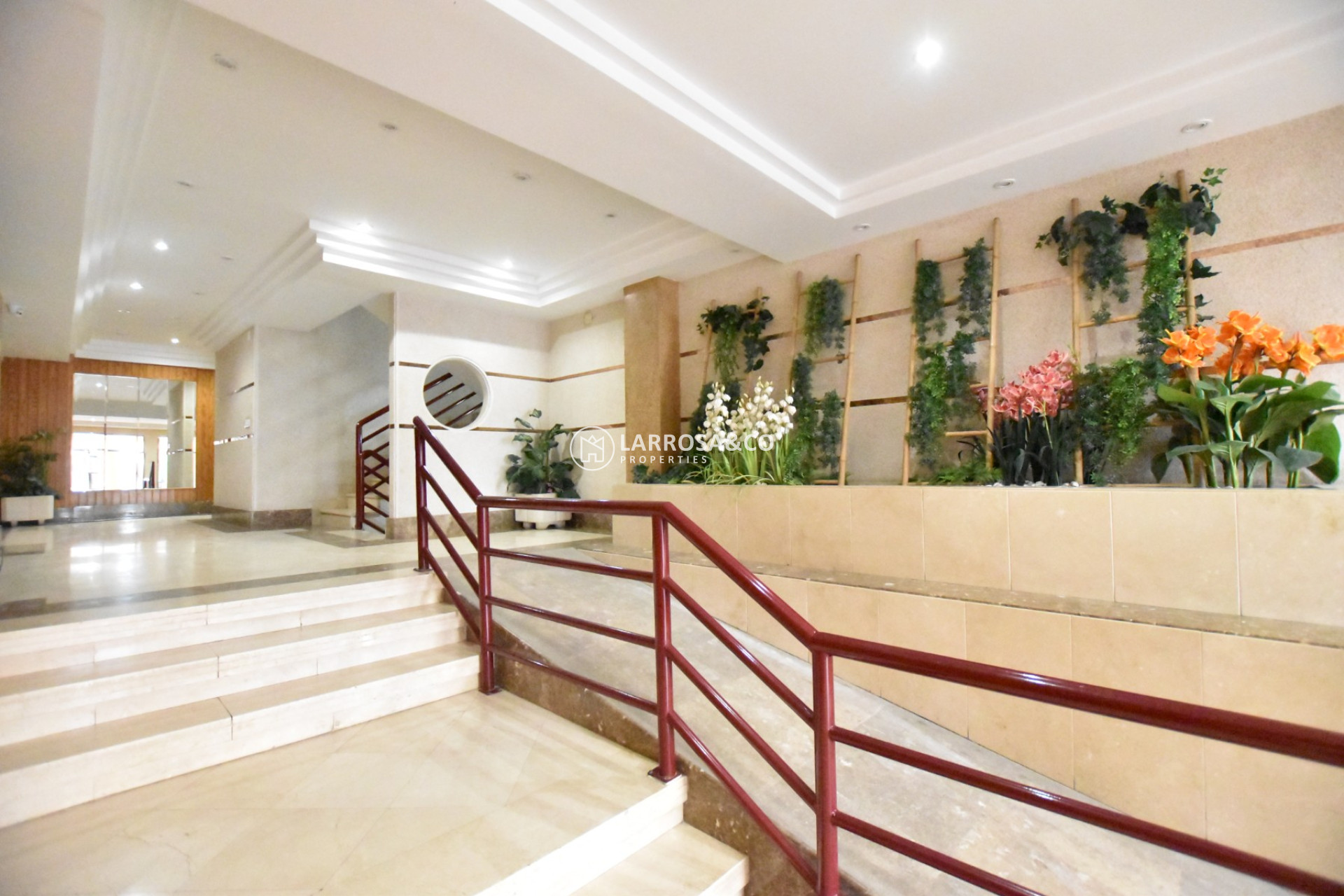 Herverkoop - Apartment - La Mata - Costa Blanca