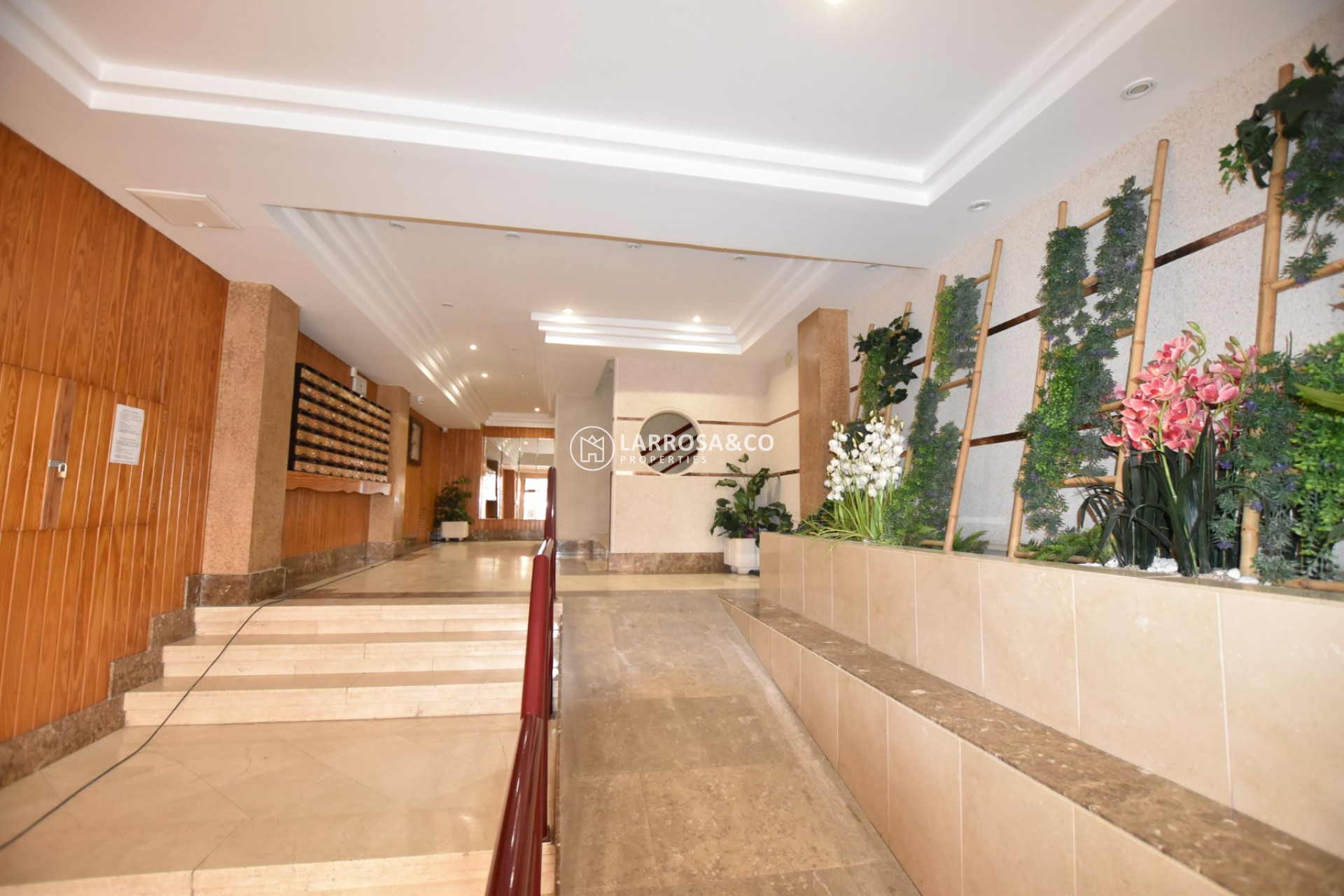 Herverkoop - Apartment - La Mata - Costa Blanca