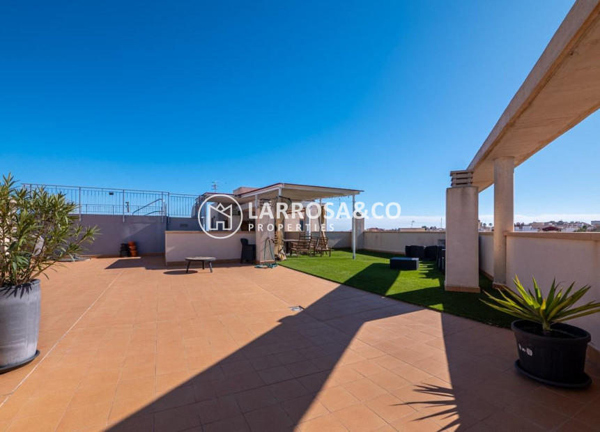 Herverkoop - Apartment - San Miguel de Salinas - Pueblo 9