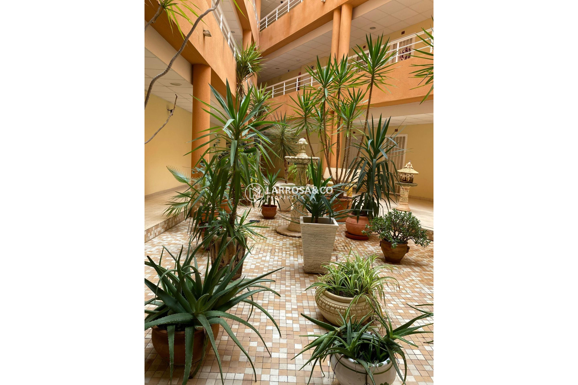 Herverkoop - Apartment - San Miguel de Salinas - Pueblo 9