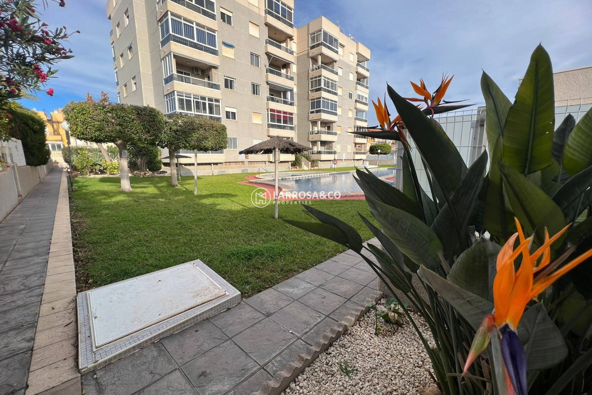 Herverkoop - Apartment - Torrevieja - Aguas Nuevas