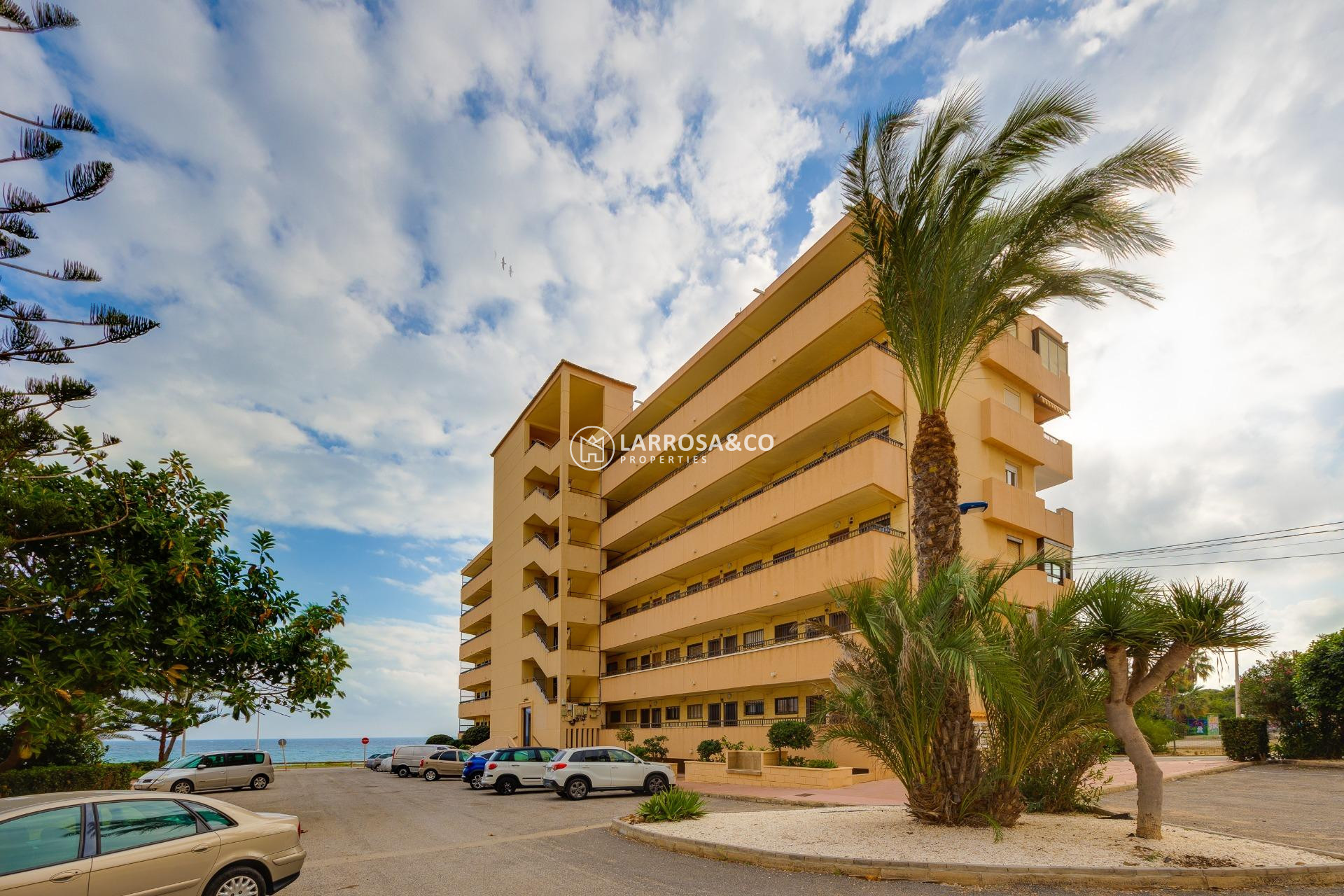 Herverkoop - Apartment - Torrevieja - Cabo cervera