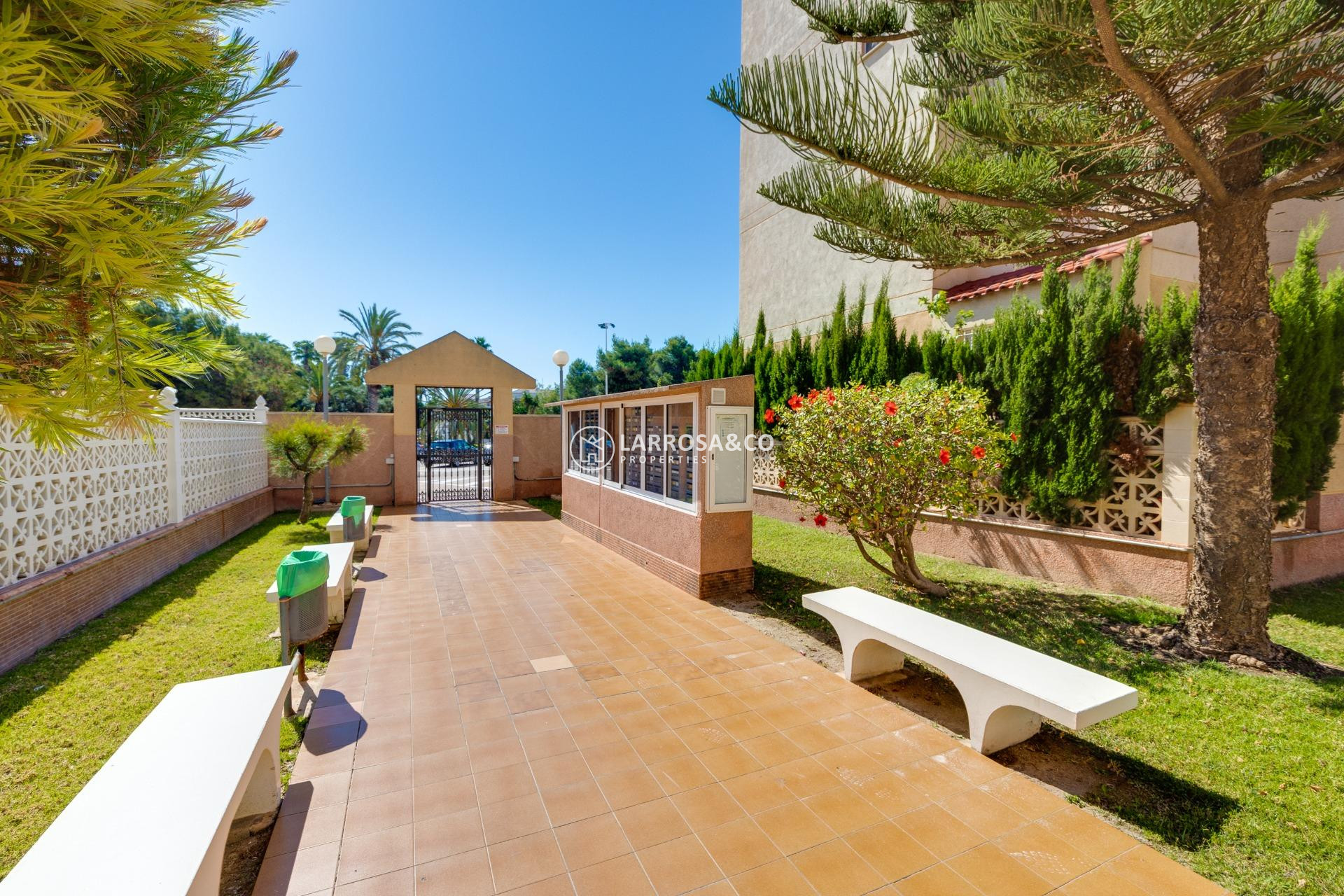Herverkoop - Apartment - Torrevieja - Calas blanca