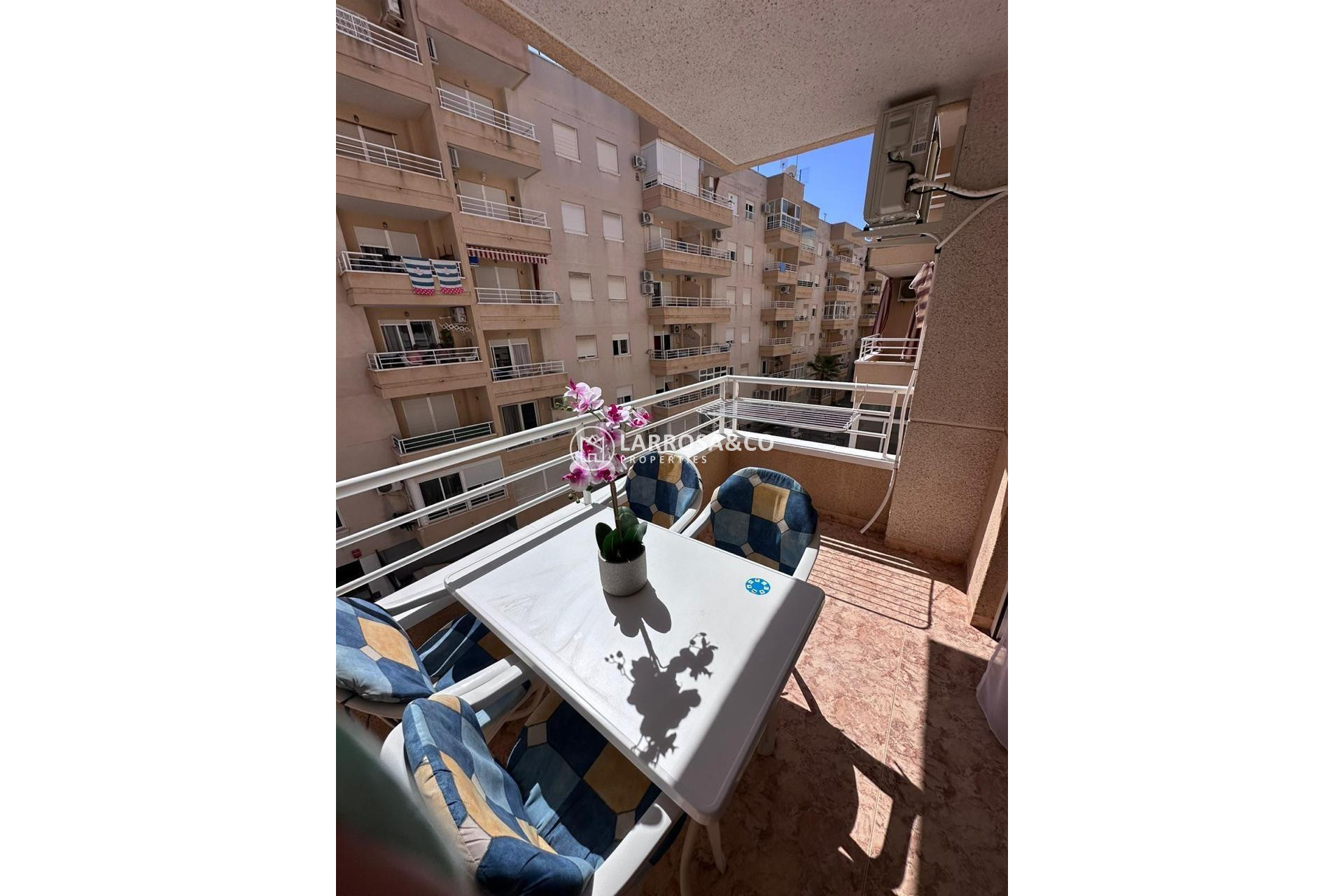 Herverkoop - Apartment - Torrevieja - Centro - Muelle Pesquero